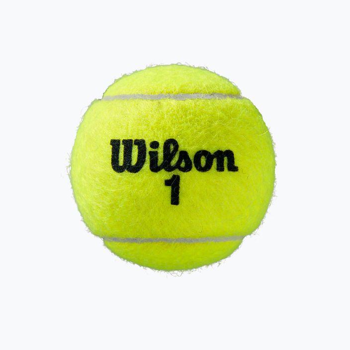 Wilson Roland Garros All Ct 4 Ball топки за тенис 2Pk 8 бр. жълти WRT116402 4