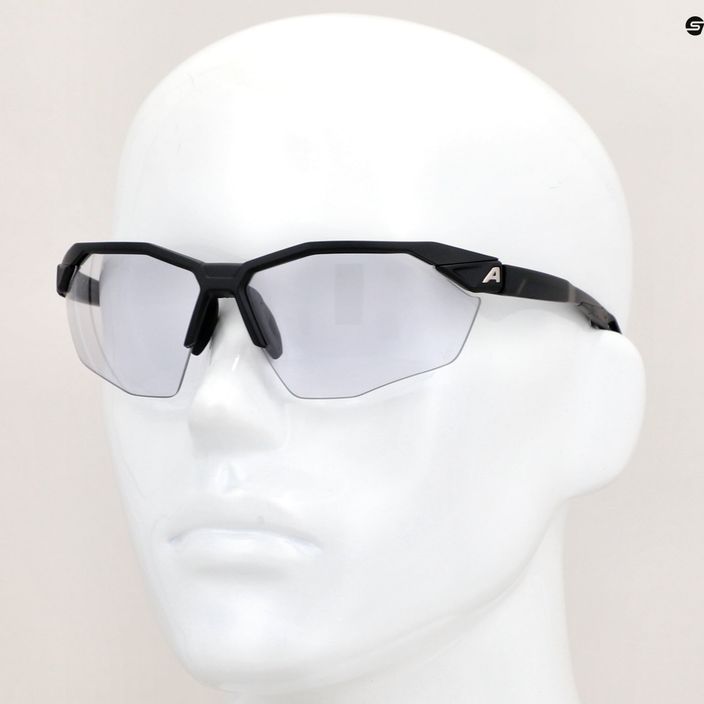 Слънчеви очила Alpina Twist Six Hr V black matt/black 7