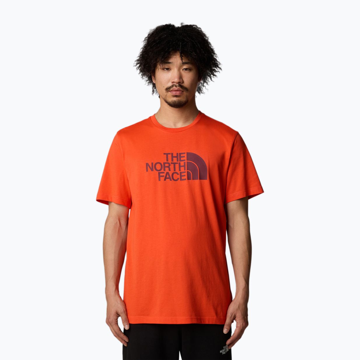 Мъжка тениска The North Face Easy crimson orange/alpine plum