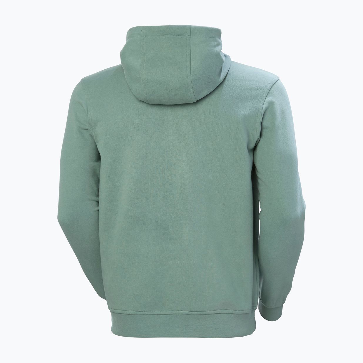 Helly Hansen HH Logo Hoodie cactus за мъже 6