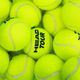 HEAD Tour топки за тенис 4 бр. жълти 570704 8