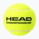 HEAD Шампионски топки за тенис 4 бр. жълти 575204 2