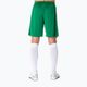 Мъжки футболни шорти Joma Nobel зелени 100053 7