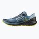 Мъжки обувки за бягане Salomon Sense Ride 4 blue L41210400 13