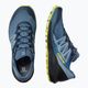 Мъжки обувки за бягане Salomon Sense Ride 4 blue L41210400 14