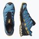 Salomon XA Pro 3D V8 мъжки обувки за бягане L41439900 14