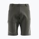 Мъжки къси панталони за трекинг Salomon Wayfarer green LC1762000 2