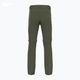Мъжки панталони за трекинг Salomon Wayfarer Zip Off green LC1741100 4