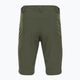 Мъжки панталони за трекинг Salomon Wayfarer Zip Off green LC1741100 6