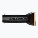 Ски очила Salomon S/View Access S2 Black/Tonic Orange L47006500 7