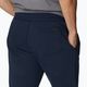 Мъжки къси панталони Columbia Logo Fleece trekking navy blue 1884601464 5