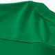 Женска футболна фланелка Nike Dri-FIT Park VII, борово зелено/бяло 4