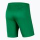 Детски футболни шорти Nike Dry-Fit Park III, зелени BV6865-302 2
