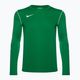 Мъжки футболен екип Nike Dri-FIT Park 20 Crew pine green/white с дълъг ръкав