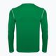 Мъжки футболен екип Nike Dri-FIT Park 20 Crew pine green/white с дълъг ръкав 2