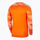Мъжки футболен суитшърт Nike Dri-Fit Park IV оранжев CJ6066-819 2