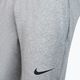 Мъжки панталони за тренировка Nike Pant Taper сив CZ6379-063 3