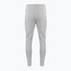 Nike FLC Park 20 сив мъжки панталон CW6907-063 2