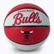 Мини баскетбол Wilson NBA Team Retro Mini Chicago Bulls червен WTB3200XBCHI