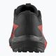 Мъжки обувки за бягане Salomon Sense Ride 5 черен L47214300 10