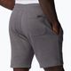 Мъжки къси панталони за трекинг Columbia Logo Fleece сиви 1884601023 6