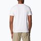 Мъжка тениска за трекинг Sun Trek Short white/simple gorge на Columbia 3