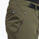 Мъжки къси панталони за туризъм The North Face Speedlight green NF00A8SF21L1 6