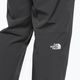 Мъжки панталони за трекинг The North Face Circadian grey NF0A558EY0K1 8