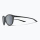 Слънчеви очила Nike Evolution матово тъмно сиво/сребърна светкавица 5