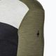 Мъжка тениска Smartwool Classic Thermal Merino Base Layer Colorblock Crew Boxed Green 16354 3