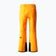 Мъжки ски панталони The North Face Chakal orange NF0A5IYV78M1 6