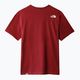 Мъжка риза за трекинг The North Face Easy red NF0A2TX36R31 9