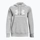 Дамски суитшърт Under Armour Rival Fleece Big Logo Hoody mod grey light heather/white 5