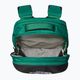 Туристическа раница The North Face Borealis 28 l evergreen/black 4