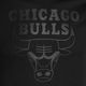 Мъжка тениска New Era NOS NBA Regular Tee Chicago Bulls 60416757 black 3