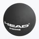 HEAD sq Prime топка за скуош 1 бр. черна 287306 2