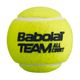 BABOLAT Team All Court топки за тенис 4 бр. жълти 502081 3