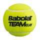 BABOLAT Team Глинени топки за тенис 4 бр. жълти 502080 3