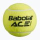 Babolat Ace топки за падел 3 бр. жълти 501104 2