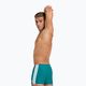 Мъжки къси панталони Arena Icons Swim Short Твърди зелени боксерки 005050/600 5
