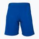 Детски шорти за тенис Tecnifibre Stretch blue 23STRE 2