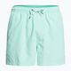 Мъжки къси панталони за плуване Everyday 15 Quiksilver Light Green EQYJV03531-GCZ0