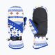 Дамски ръкавици за сноуборд ROXY Jetty Mitt bright white chandall
