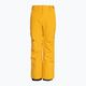 Quiksilver Estate Детски панталони за сноуборд Youth mineral yellow 5