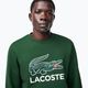 Мъжки потник Lacoste SH1281 зелен 4