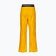 Мъжки ски панталон Picture Picture Object 20/20 yellow MPT114 2