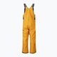 Мъжки ски панталони Picture Testy Bib 10/10 yellow MPT124 2