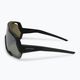 Очила за велосипеди Alpina Rocket Q-Lite black matt/silver mirror 4