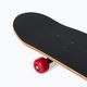 Детски класически скейтборд Playlife Hotrod цвят 880325 7