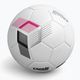 Capelli Tribeca Metro Competition Hybrid Football AGE-5881 размер 5 4